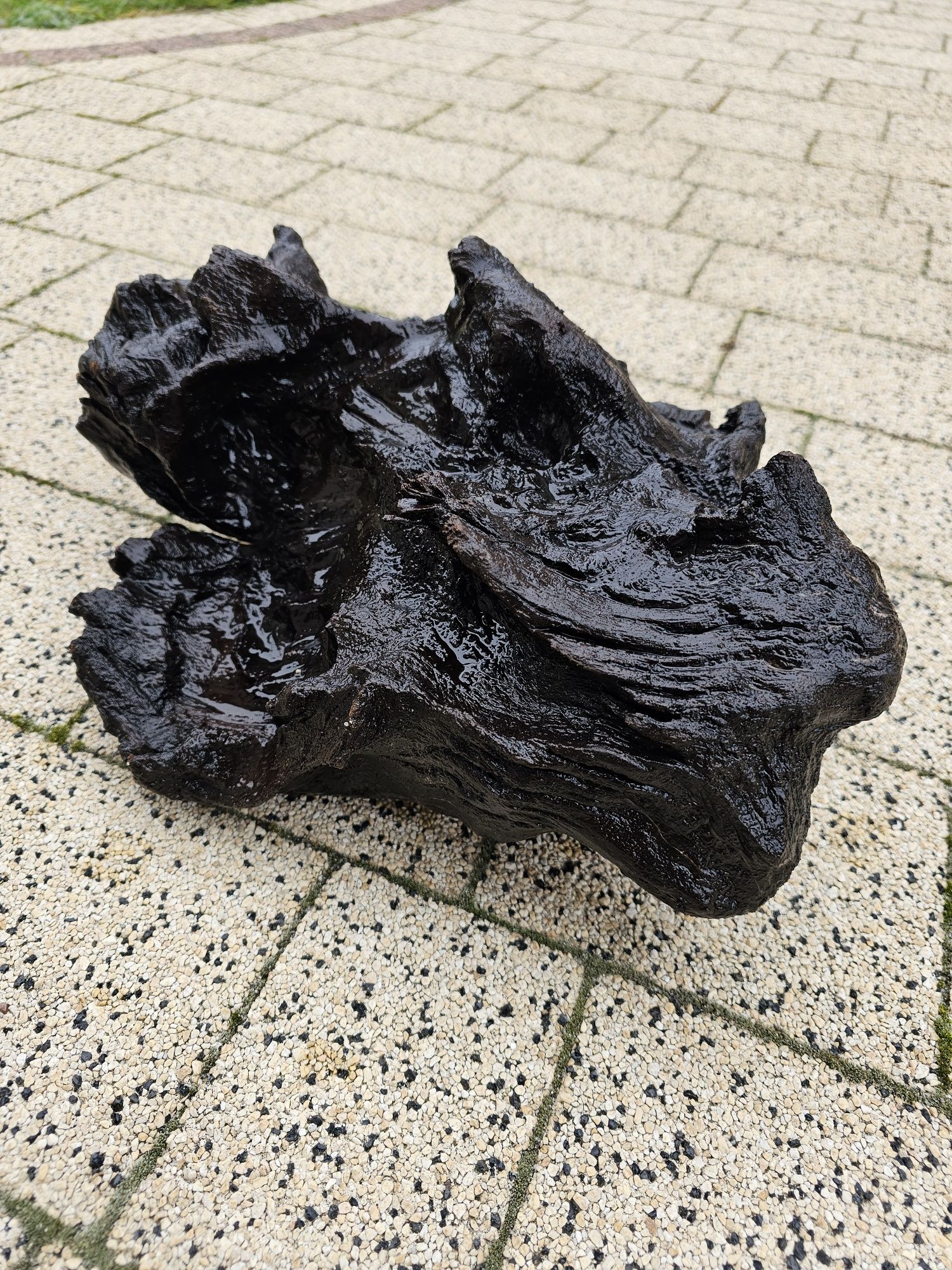 Korzen do akwarium lub terarium