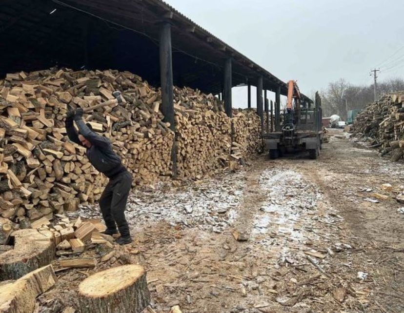 Дрова дубовые рубленые с доставкой и выгрузкой