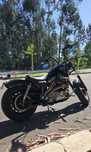 Harley Davidson XL 1200 Custom