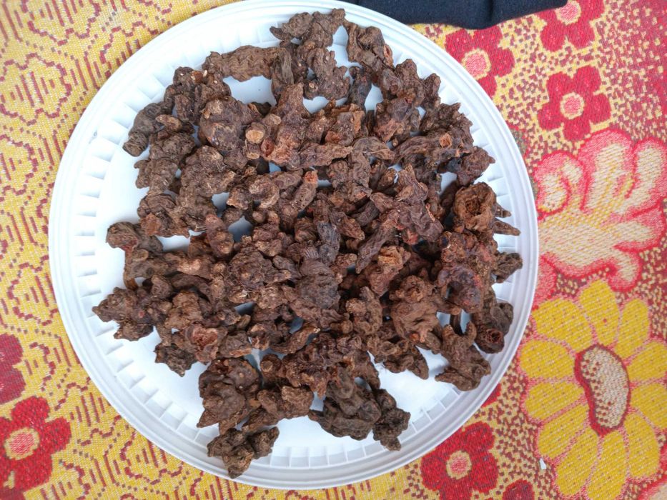 Корінь Калгану сушений