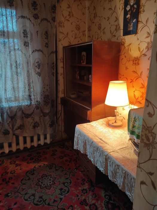 Продам дом в с.Палиево,