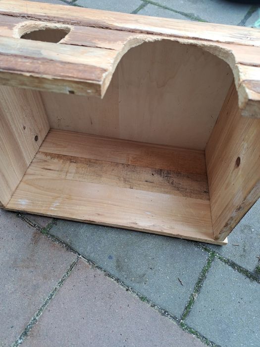 Paśnik dla królika świnki morskiej