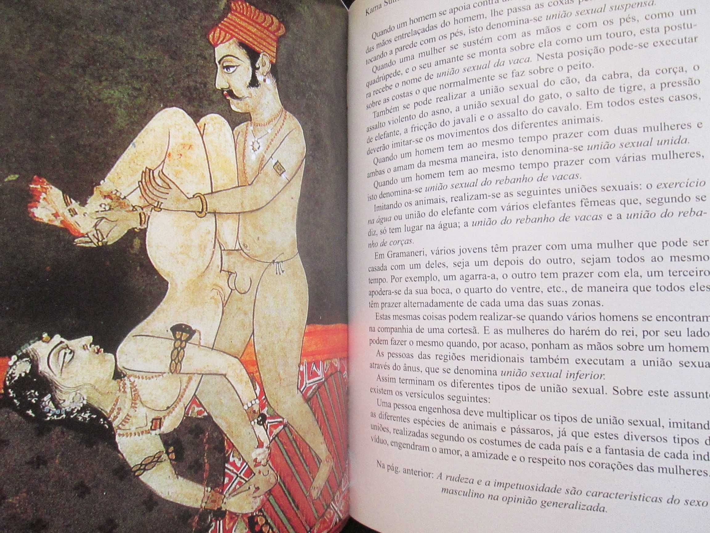 Kama Sutra, edição especial ilustrada, como novo