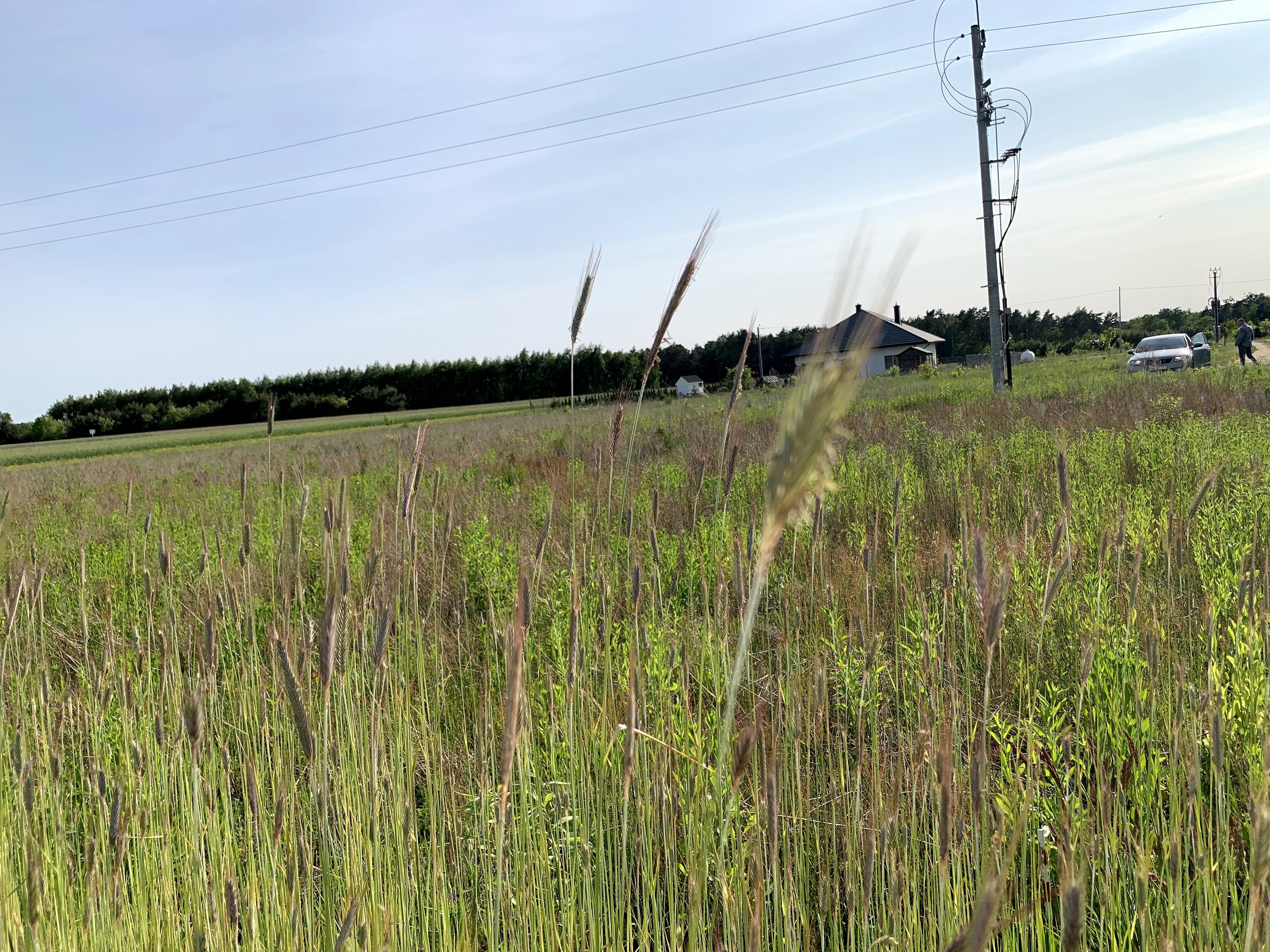 Twój dom w sercu Mazowsza – działka 1200m² w Lelewie blisko Wkry