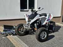 QUAD EGL Mad Max 250cc ZAREJESTROWANY Doinwestowany