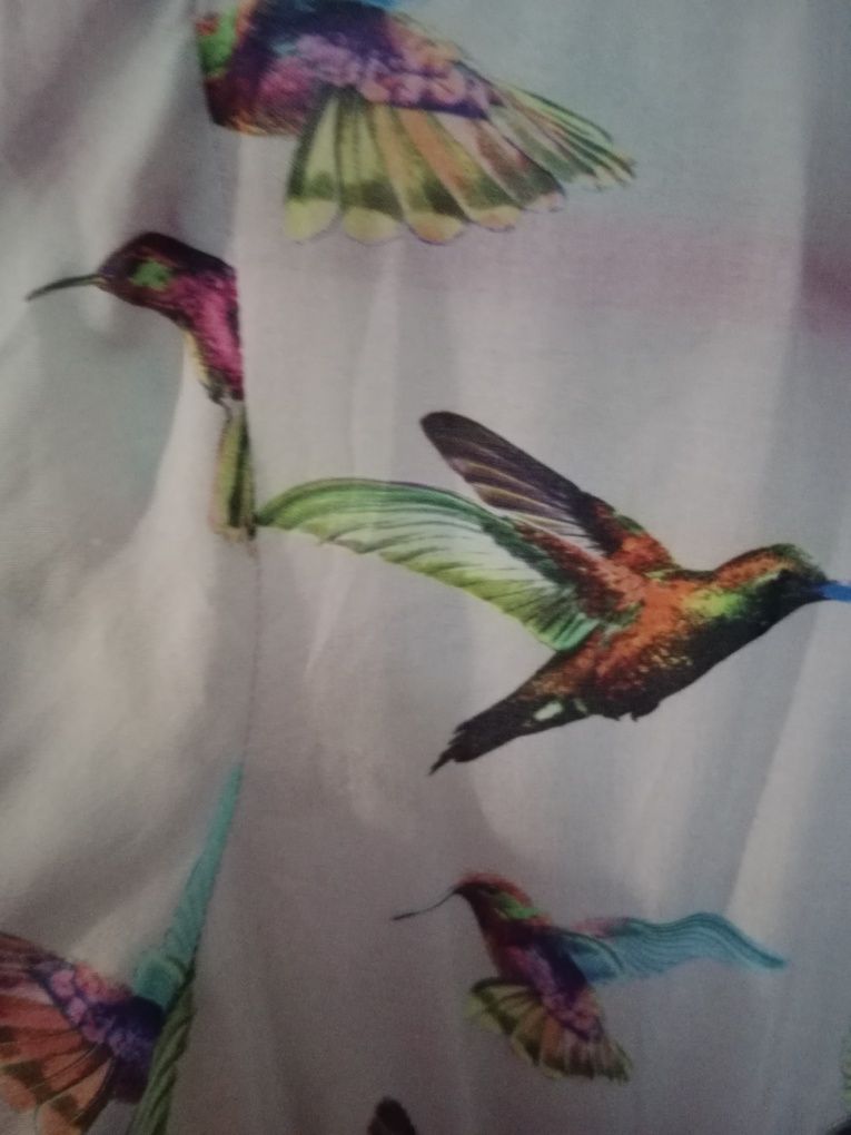 Koszula mohito kolibry cieniutka r.34