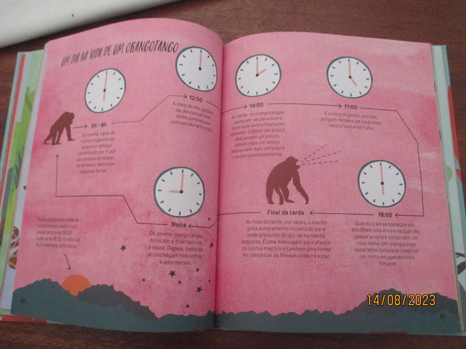 Livro- Porque adoramos orangotangos