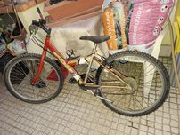 Bicicleta fdr vermelha
