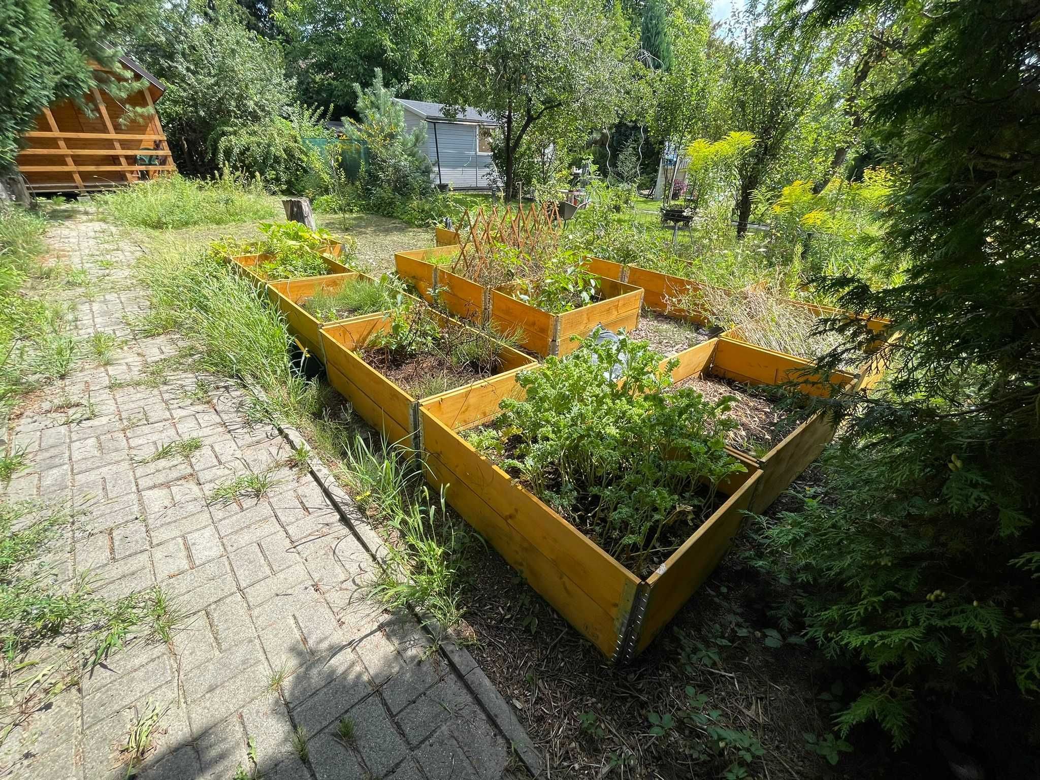 PROMOCJA Działka ROD 344 m2 Stary Widzew Łódź domek całoroczny 25m2