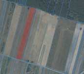 działki rolne Kostrzyń - 0,71 ha i 0,65ha