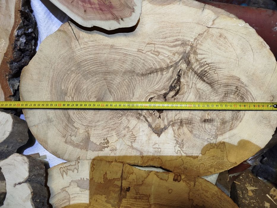 Plastry z drewna (Grab,Cis,Śliwa Węgierka, Czereśnia,Jesion,Buk,Brzoza