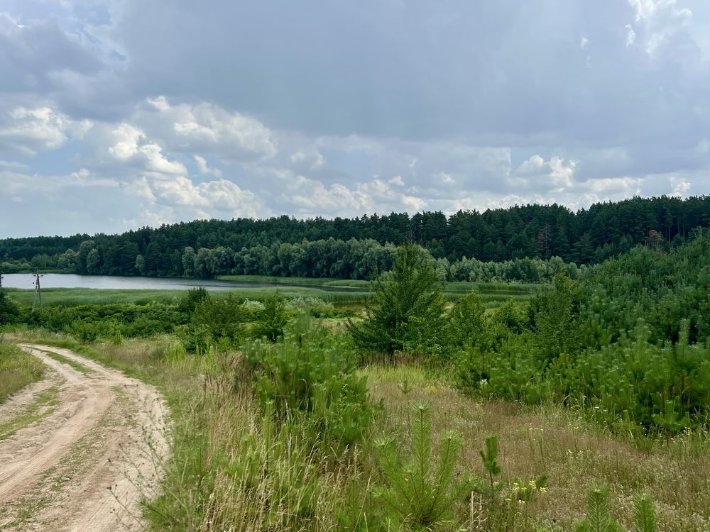 Продам 6 га Лісу, поруч озеро, електромережа