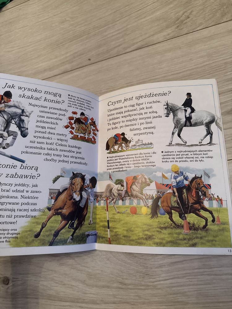 książka dla dzieci o koniach