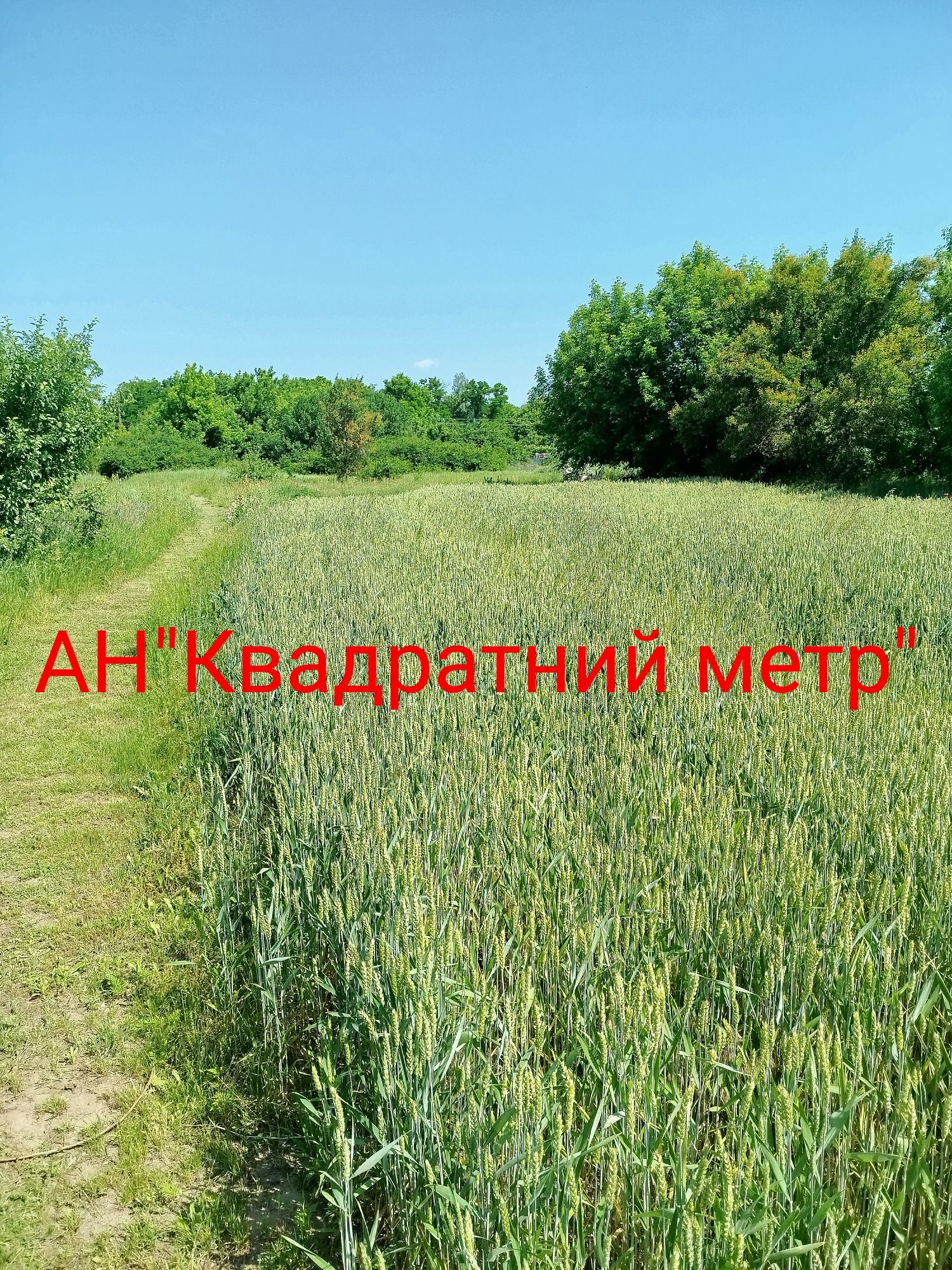 Продам земельну ділянку 14 соток біля м. Сміла