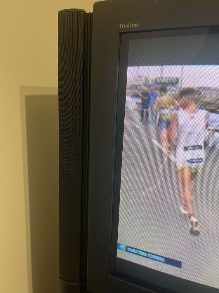 TV Sony Black Trinitron 29” (com sistema de som/ subwoofer)