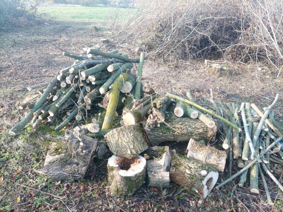 Дрова твердых пород дрова твердих порід зі своєї земельної ділянки