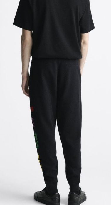 Спортивні джогери чоловічі ZARA