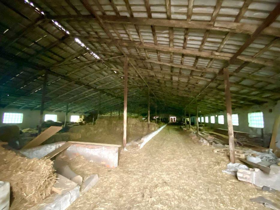 Продам ферму на трасі Київ Чоп