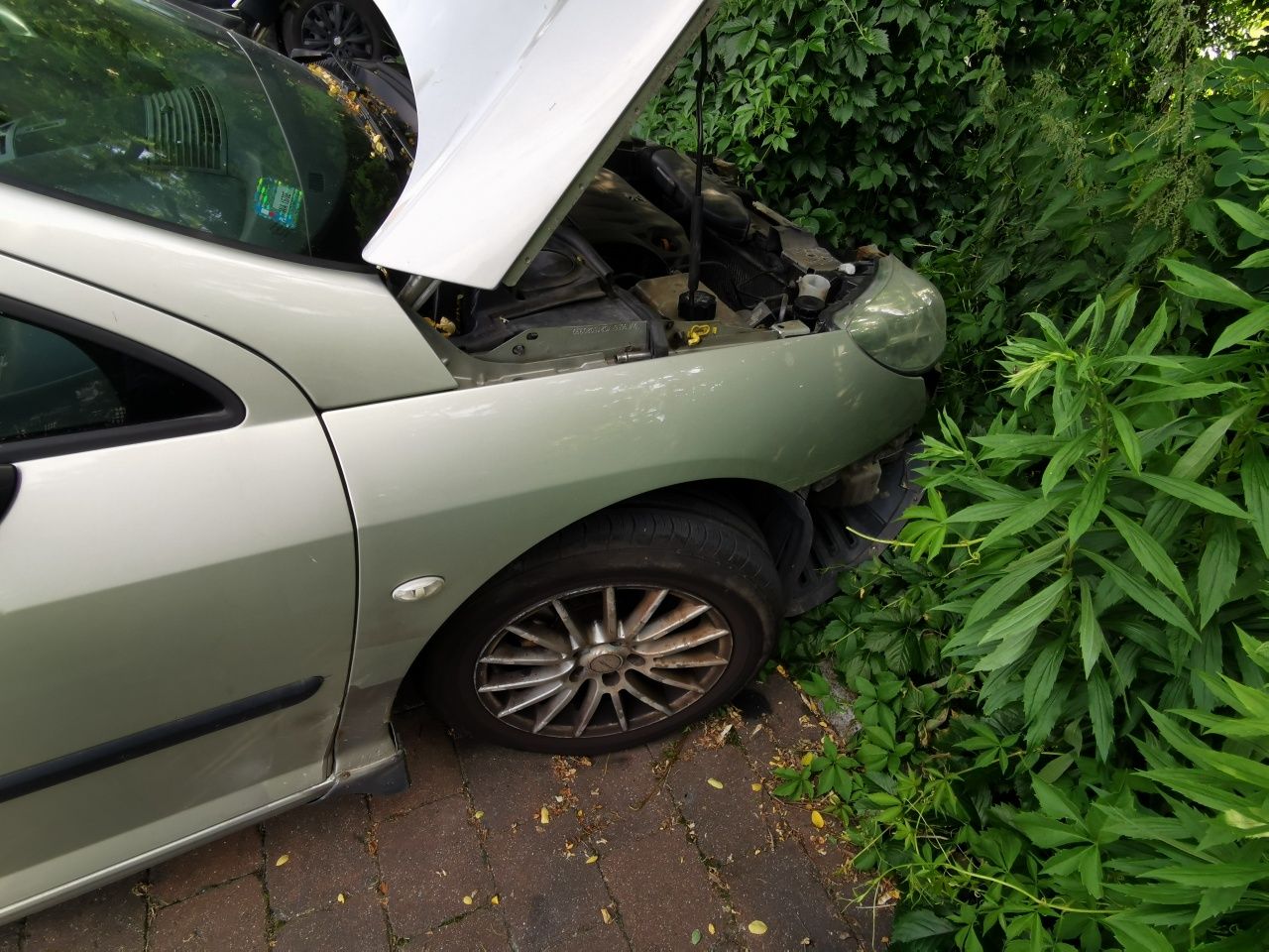 Peugeot 407 WS 2007r