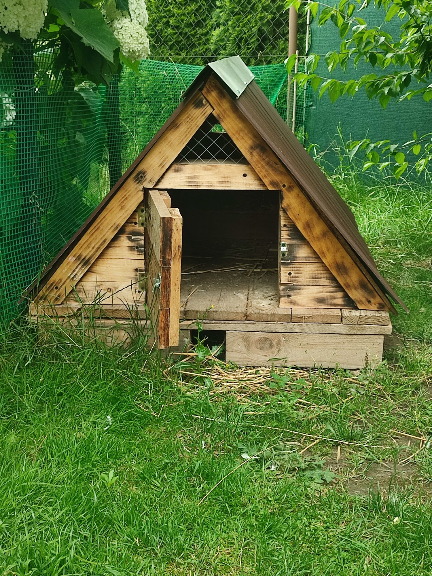 Sprzedam domek dla kaczek biegusów lub innego drobiu