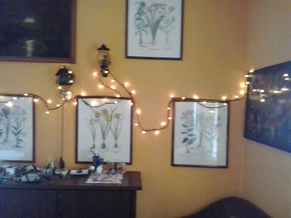 Quadros  louças plantas decorativas