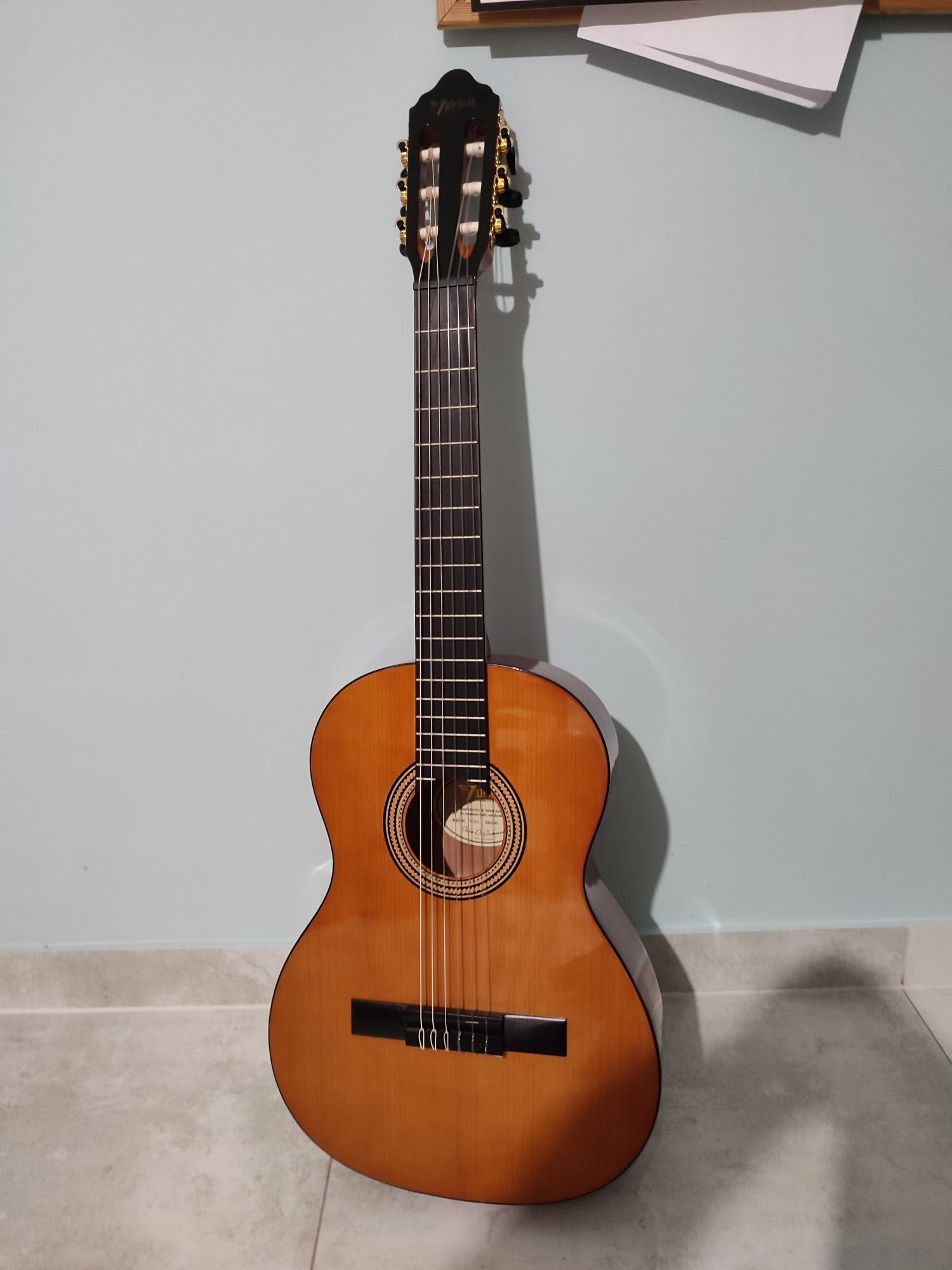 Gitara Valencia Established