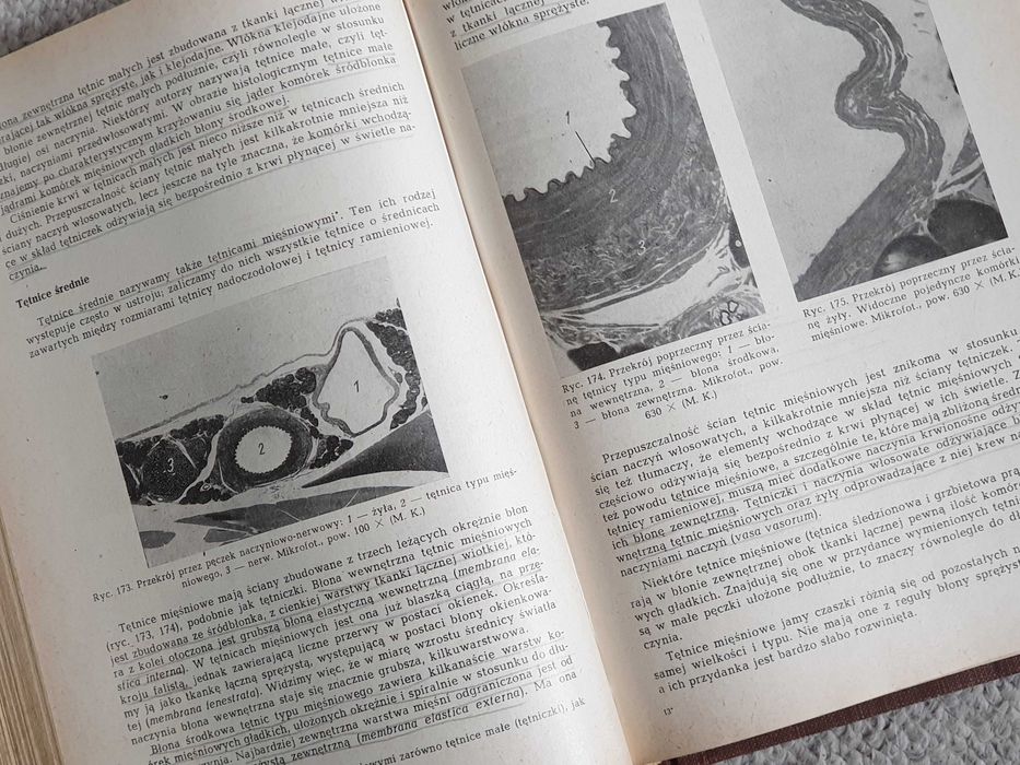 Podręcznik histologii - Pawlikowski, Karasek, Pawlikowski