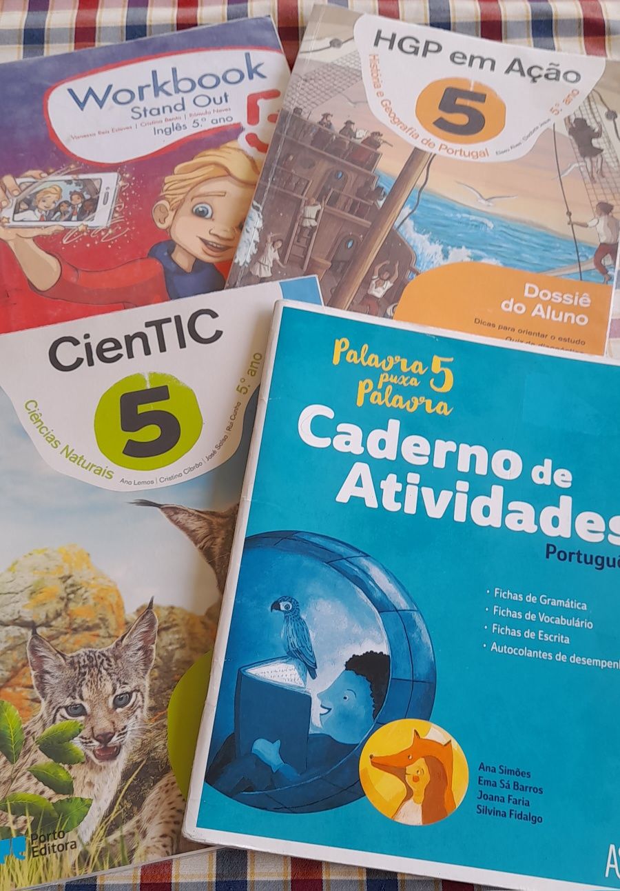 Manuais e carderno de fichas 5 ano