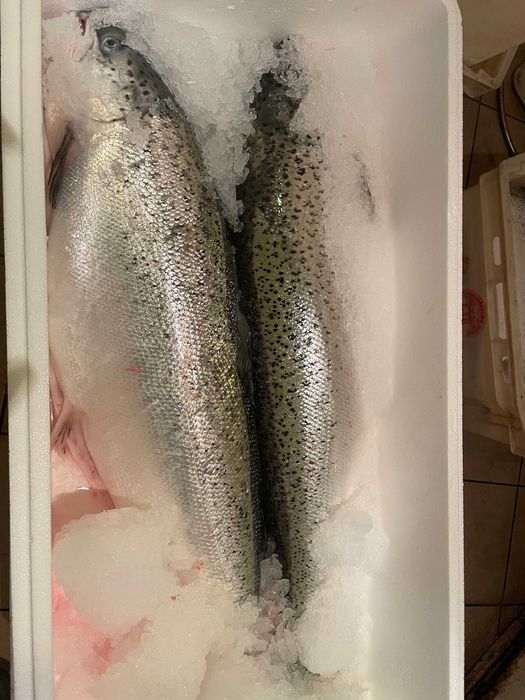 Filet z łososia atlantyckiego - wędzony na zimno