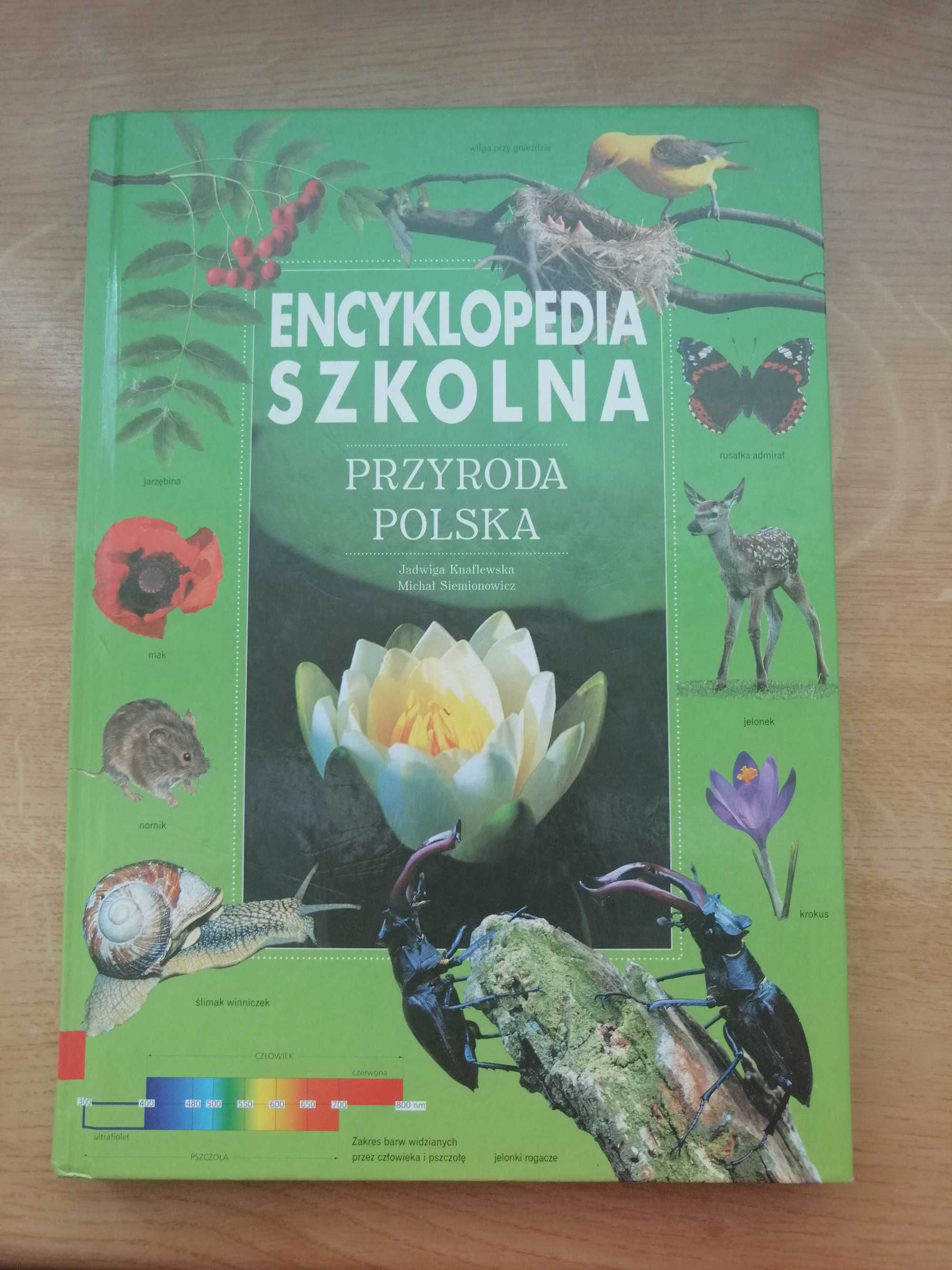 Encyklopedia szkolna