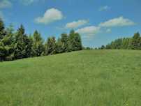 Sprzedam działkę 1000 m².