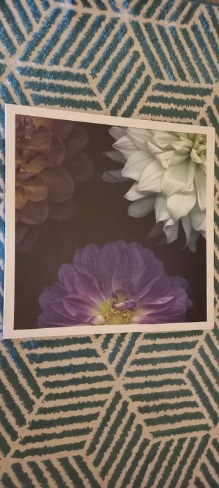 Tela de flores coloridas