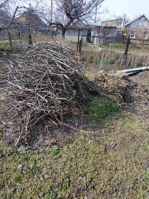 Вывоз мусора, веток, уборка двора