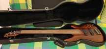 Baixo Ibanez SDGR 505-MA com Case
450 €