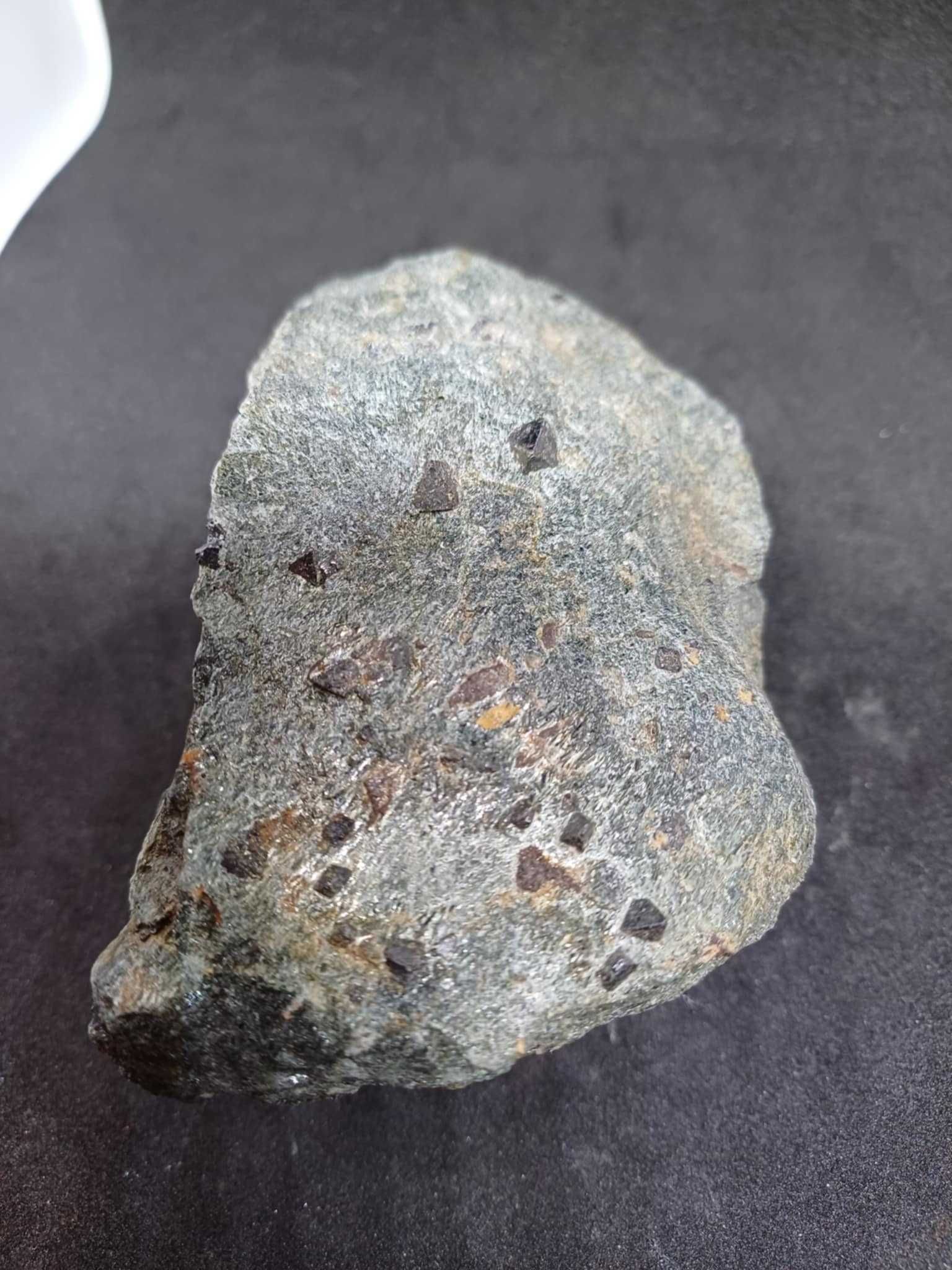 Magnetyt w amfibolicie. Ural. Rosja.