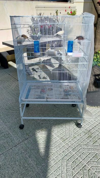 vendo aves domesticas