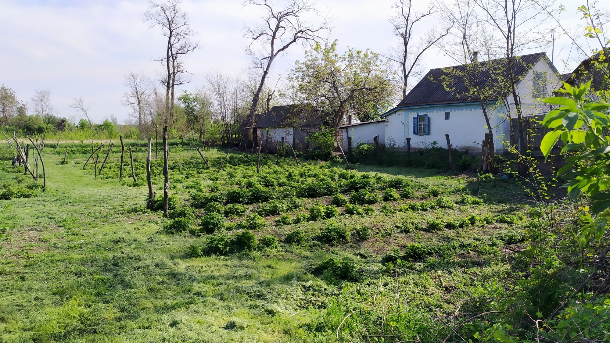 Продам дом 60 соткок.