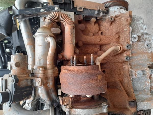 Motor completo RENAULT Megane III (BZ0_)