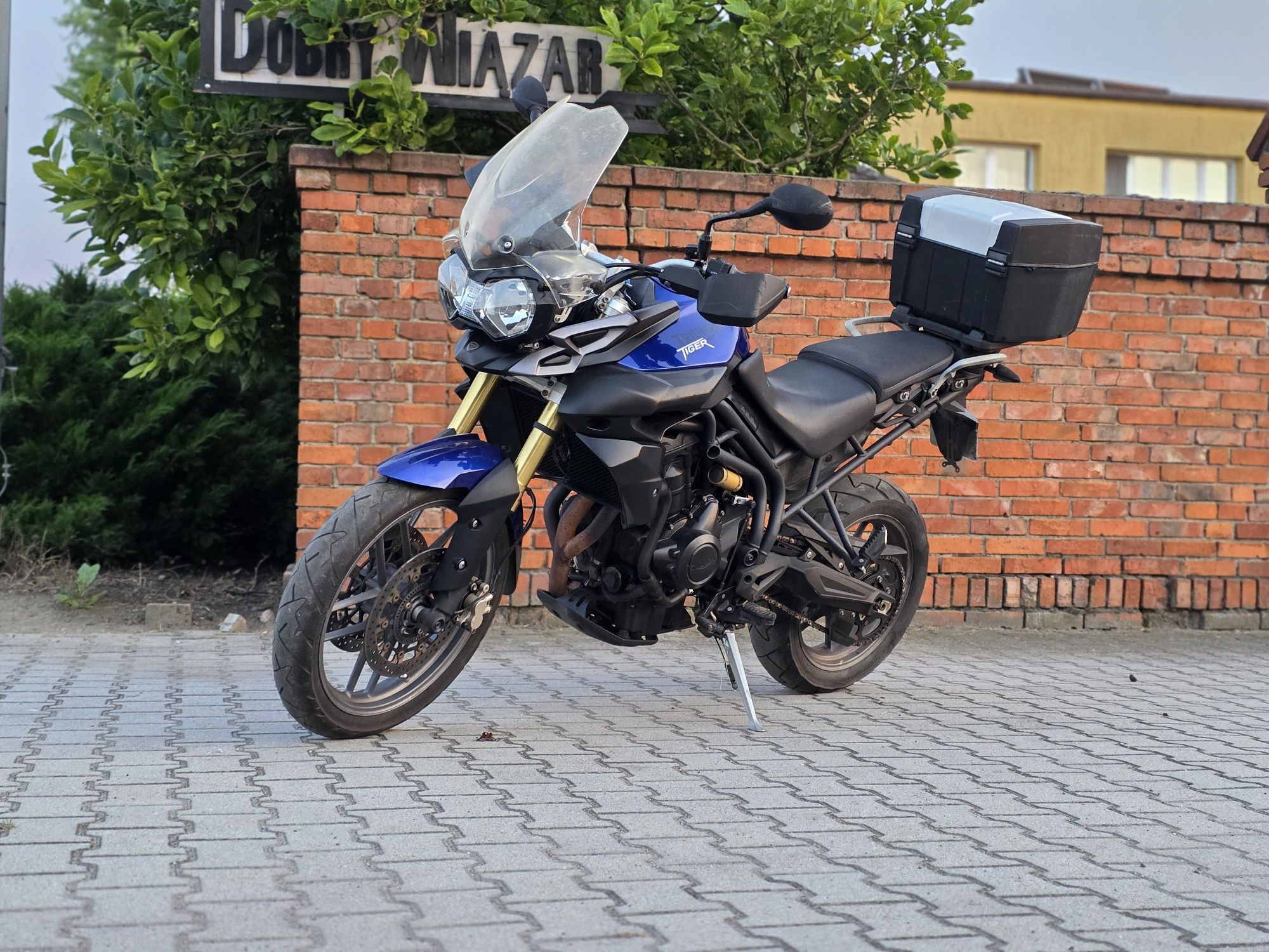Triumph tiger 800