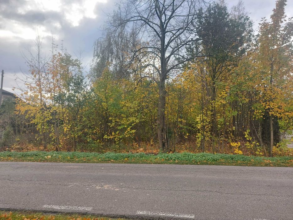 Sprzedam ziemię działki - warunki zabudowy - 2,59 ha z lasem