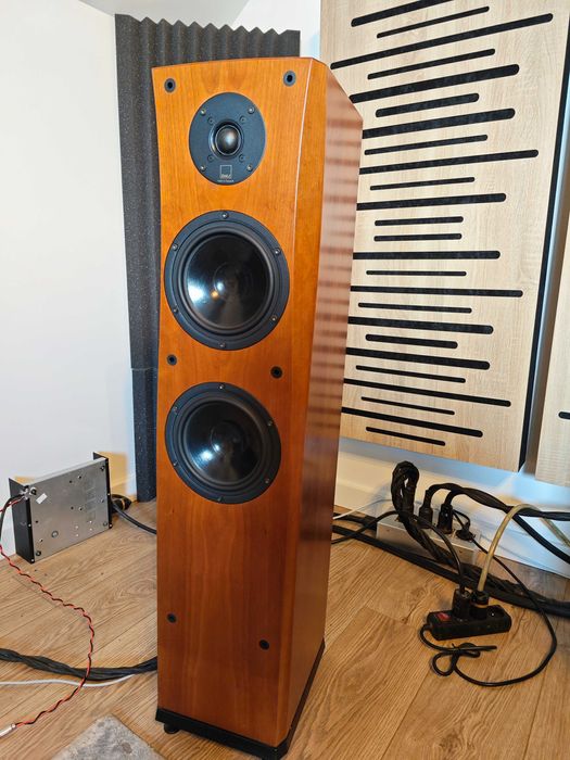 Dali grand diva + upgrade zwrotnic