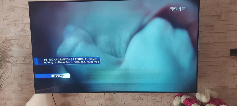 LG Oled 65 Uszkodzona Matryca
