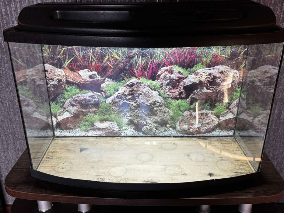 Продам акваріум б/у 140л + продаємо тумбочку