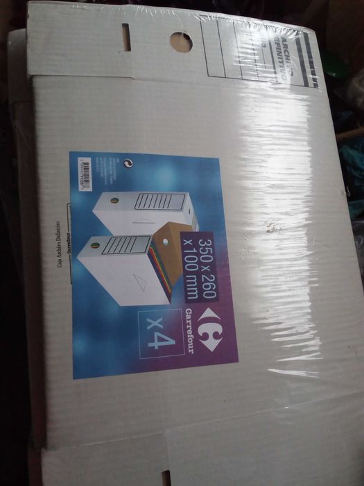 Organizador Arquivo definitivo