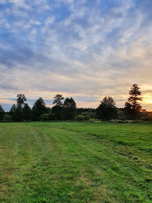 Działka z warunkami zabudowy prąd I woda Chojniki