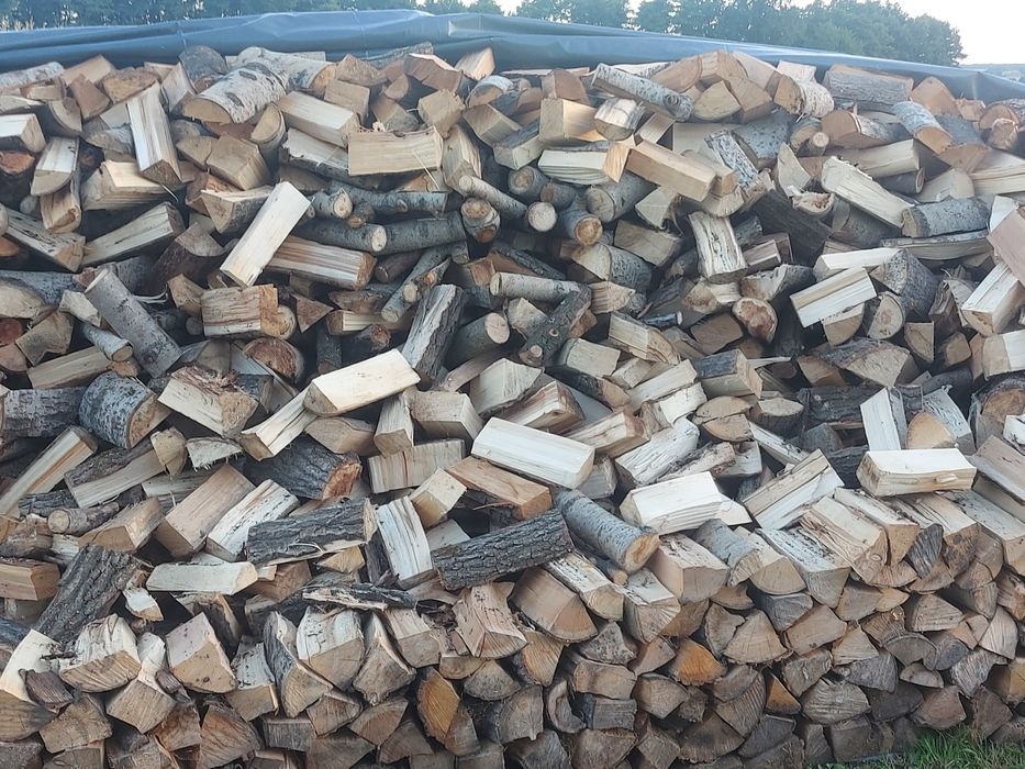 Drzewo-Drewno opałowe