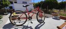 Bicicleta adulto