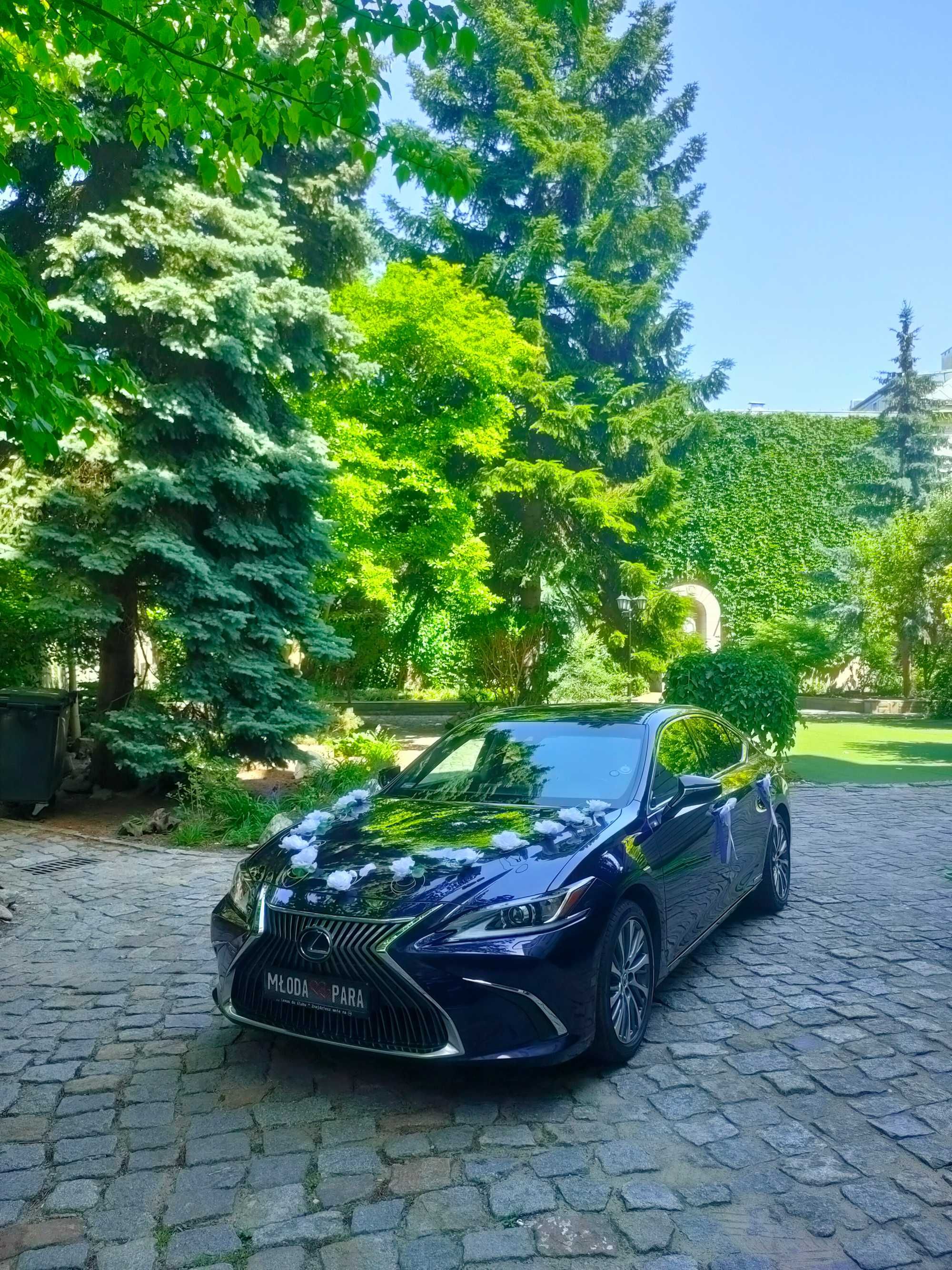 Samochód do ślubu/Auto/Wesele/Najnowsza limuzyna LEXUS ES 300H