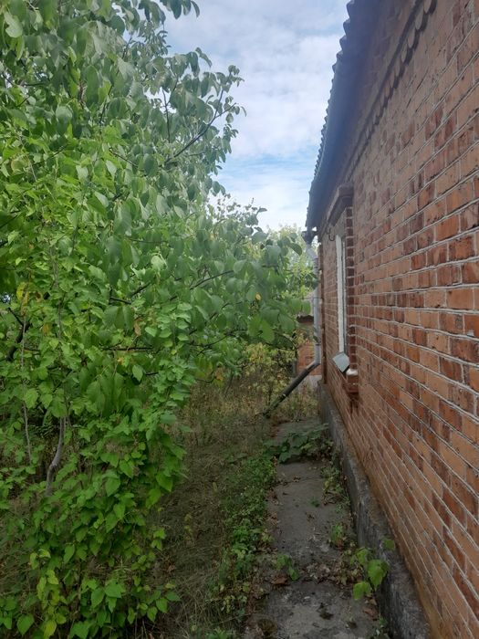 Продам будинок в селі Софіївка .