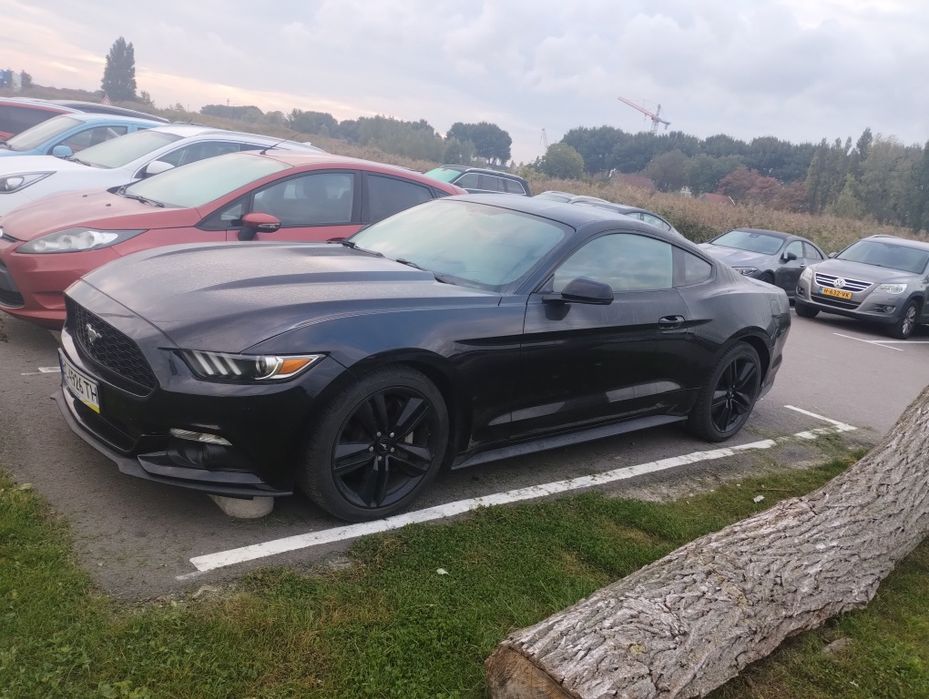 Продам Ford Mustang mk6